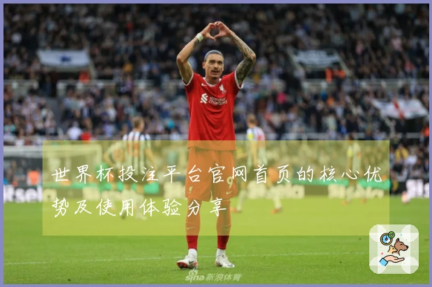 世界杯投注平台官网首页的核心优势及使用体验分享
