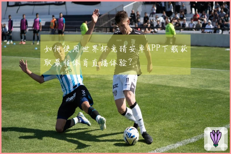 如何使用世界杯竞猜安卓APP下载获取最佳体育直播体验？