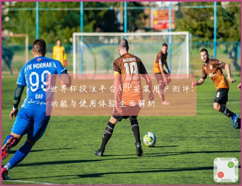 世界杯投注平台APP安装用户测评：功能与使用体验全面解析