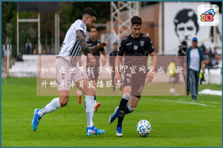 如何在世界杯买球APP官网完成注册并畅享体育直播服务